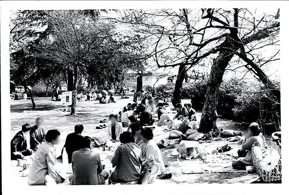 昭和57年(1982年)_花まつり.jpg